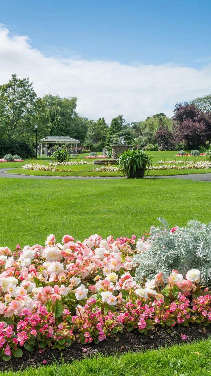 valley-garden-harrogate-2026-01-09-13-01-09-utc-1